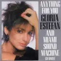 Miami Sound Machine: Anything For You
