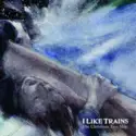 iLiKETRAiNS: The Christmas Tree Ship