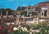 Roman Forum