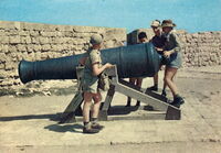 Napoleonic Cannon