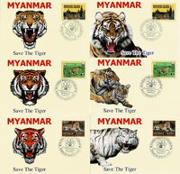 Tiger Population Preservation