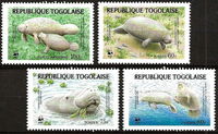 African Manatee (Trichechus senegalensis)