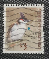 Red Whiskered Bulbul (Pycnonotus jocosus)