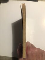 Incendio nel covo di Diabolik