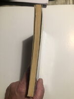 Professionisti del delitto