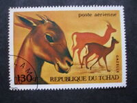 Gazelle (Gazella sp.)