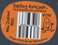 Darling Avocado - Hass