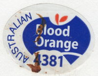 Australian Blood Orange 4381