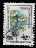 Türkei: Daisy (Matricaria chamomilla), 1985