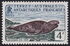French Southern and Antarctic Lands (TAAF): Leopard Seal (Hydrurga leptonyx), 1960