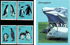 5 items, including: Somalia: Adelie Penguin (Pygoscelis adeliae), 2001