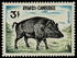 Cambodia: Wild Boar (Sus scrofa) , 1967