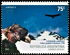 Argentina: Andean Condor (Vultur gryphus), 2003