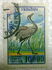 乌克兰: Common Crane (Grus grus), 1995