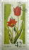 Bulgaria: Tulipa splendens, 1989