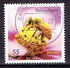 Germany, Federal Republic: Honey Bee (Apis mellifica), 2010