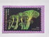 United States of America: Bioluminescent Life: Mushroom, 2018