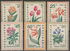 6 items, including: Bulgaria: Rhodope Tulip (Tulipa rhodopea), 1960