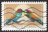 France: European Bee-Eater (Merops apiaster), 2023