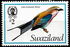 Eswatini (Swaziland): Lilac-breasted Roller (Coracias caudatus), 1976
