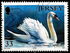 Jersey: Mute Swan (Cygnus olor), 2004