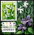 Jersey: Stitchwort (Stellaria holostea), 2005