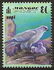Mongolia: Gyrfalcon (Falco rusticolus), 1999