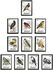 20 items, including: Aitutaki: Rufous Fantail (Rhipidura rufifrons), 1984
