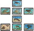 8 items, including: Dominica: Loggerhead (Caretta caretta), 1993