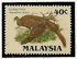 Malaysia: Great Argus Pheasant (Argusianus argus), 1986