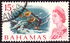 Bahamas: Sea Garden, Nassau - Sergeant Major (Abudefduf saxatilis), 1967