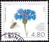 爱沙尼亚: Estonian National Flower - Cornflower (Centaurea cyanus), 2000