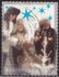 Netherlands: Men in fur hats and stars, 2004