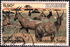 ザイール: Uganda Topi (Damaliscus ugandae), 1982