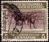 Colombia: Romo-Sinuano Cattle (Bos primigenius taurus), 1956