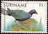 Suriname: Purple Gallinule (Porphyrio martinica), 1985