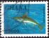 Ghana: Swordfish (Xiphias gladius), 1995