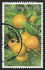 Thailand: Mandarin (Citrus reticulata), 1993