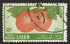 Lebanon: Oranges, 1955