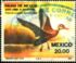 Mexico: Black-bellied Whistling Duck (Dendrocygna autumnalis), 1984