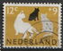 荷兰: Cats (Felis silvestris catus) , 1964