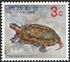 琉球諸島: Ryukyu Black-breasted Leaf Turtle (Geoemyda japonica), 1966