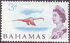 Bahamas: Caribbean Flamingo (Phoenicopterus ruber), 1965