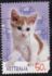 Australia: Brown-and-white Shorthair Cat "Tinkerbell" (Felis silvestris, 2004