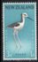 New Zealand: Pied Stilt (Himantopus leucocephalus), 1959