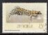 Zimbabwe: Tiger Thick-toed Gecko (Pachydactylus tigrinus), 1989