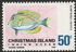 Christmas Island: Lined Surgeonfish (Acanthurus lineatus), 1968
