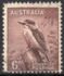 澳大利亚: Kookaburra (Dacelo novaeguineae), 1942
