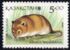 哈萨克斯坦: Desert Dormouse (Selevinia betpakdalaensis), 1993