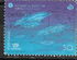 Azores: Atlantic Spotted Dolphin (Stenella frontalis), 1998
